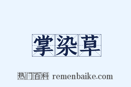 掌染草是什么意思的图片